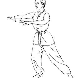Ass Le Phénix Rouge Dao Yin-qi Gong