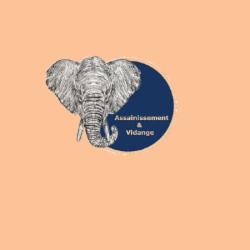 Assainissement-vidange
