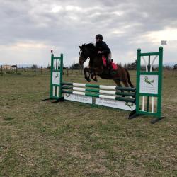 Asso Des Cavaliers De La Cabriole