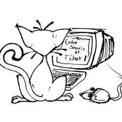 Association Entre Souris Et T'chat