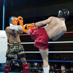 Association Nantaise De Boxe Francaise