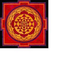 Association Picarde De Hatha Yoga (aphy)