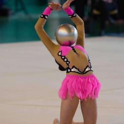 Association Sportive La Nantaise