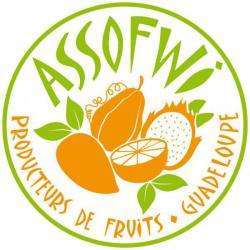 Assofwi