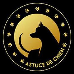 Astuce De Chien