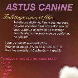 Astus Canine