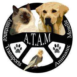 A.t.a.m