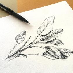 Atelier Blanc Papier