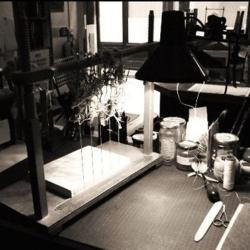 Atelier De Reliure Céline Beutain