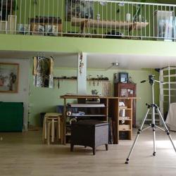 Atelier Du Singe Vert