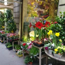 Atelier Flash Fleurs
