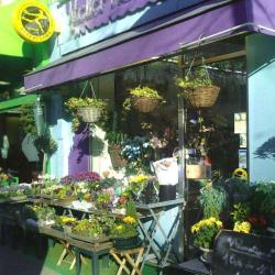 Atelier Flor Designer