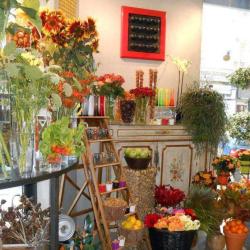 Atelier Floral - Anthony Gore