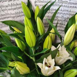 Atelier Floral