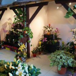 L'atelier Floral Eden Fleurs
