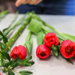 Atelier Floral