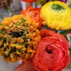 Atelier Floral