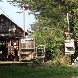 Atelier Ile à Bois