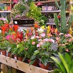 Atelier Jardin