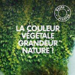 Atelier Lydia Coiffure