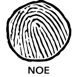 Atelier Noe