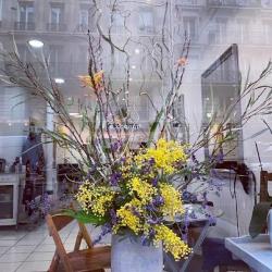 Atelier O'shiz-u