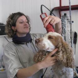 Atelier Du Chien