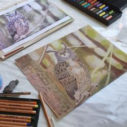 Ateliers Galerie Les Jartdins De Sabila