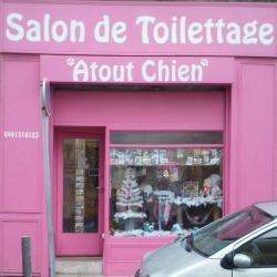 Atout Chien