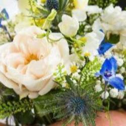 Atout Fleurs