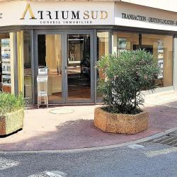 Atrium Sud Conseil Immobilier