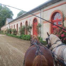 Attelage Et Elevage Ar Maner
