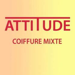 Attitude