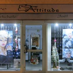 Coiffure Attitude Michèle Joël