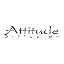 Attitude