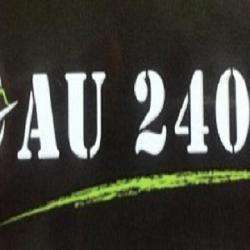 Au 240