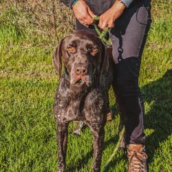 Au Bon Geste Canin