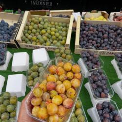 Au Bon Jardinier Cler