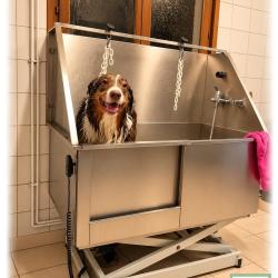 Au Bonheur Des Chiens