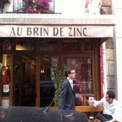Au Brin De Zinc