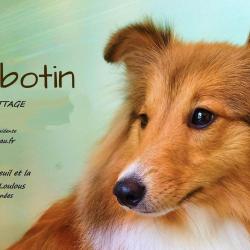 Au Cabotin