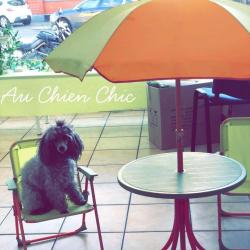 Au Chien Chic