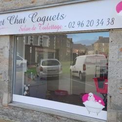 Au Chien Et Chat Coquets