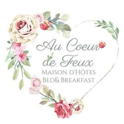Au Coeur De Feux