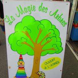 La Magie Des Arbres