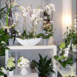 Au Coin Fleuri