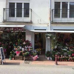 Au Cyclamen
