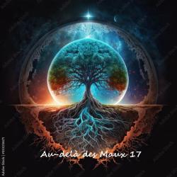 Au-delà Des Maux 17 Médium-guérisseur