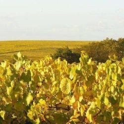 Au Domaine Des 3 Versants