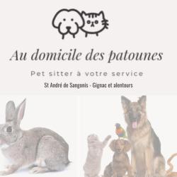 Au Domicile Des Patounes